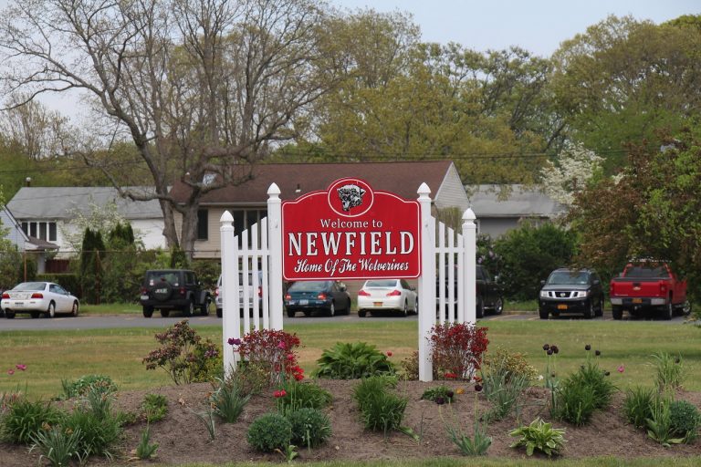 Newfield High School gathering STEAM with Makers Empire and 3D printing